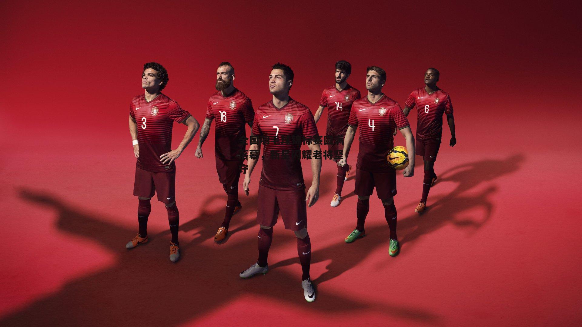 全国羽毛球锦标赛圆满落幕，新星闪耀老将坚守